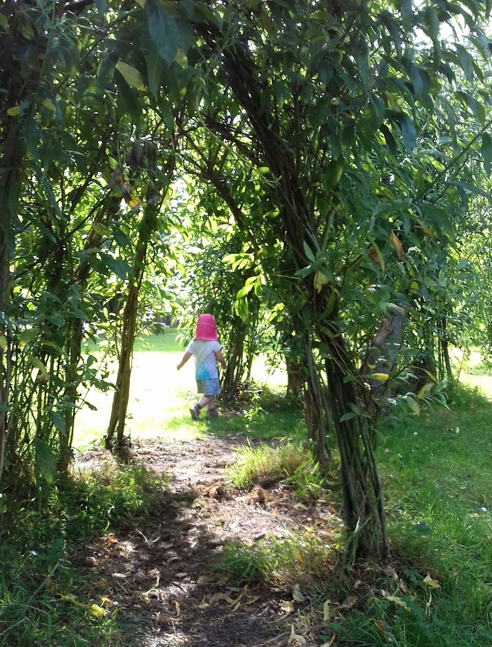 Willow tree tunnels