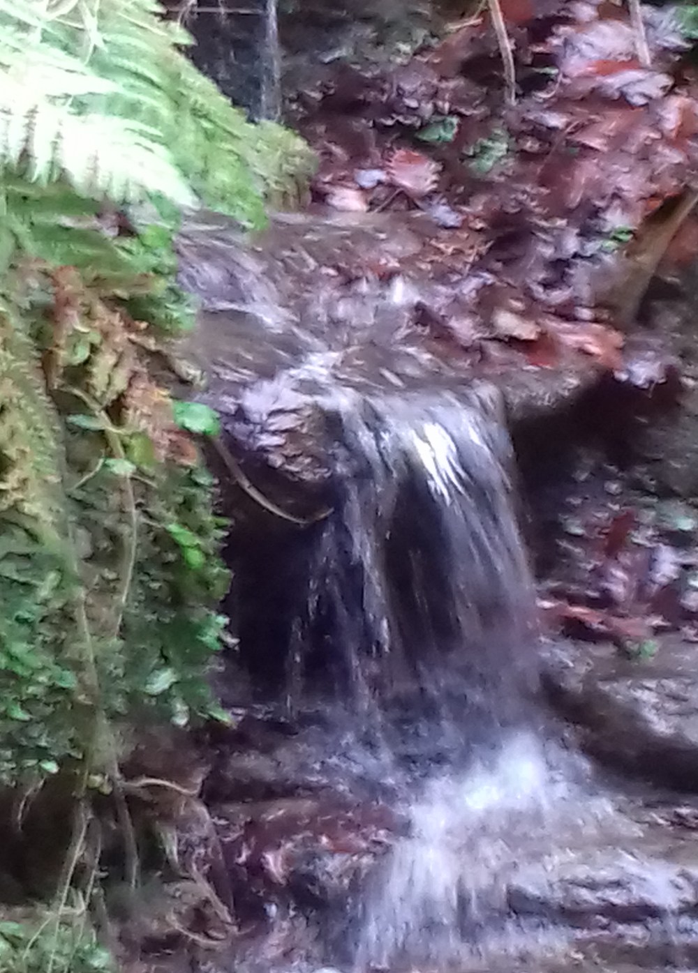 A small waterfall