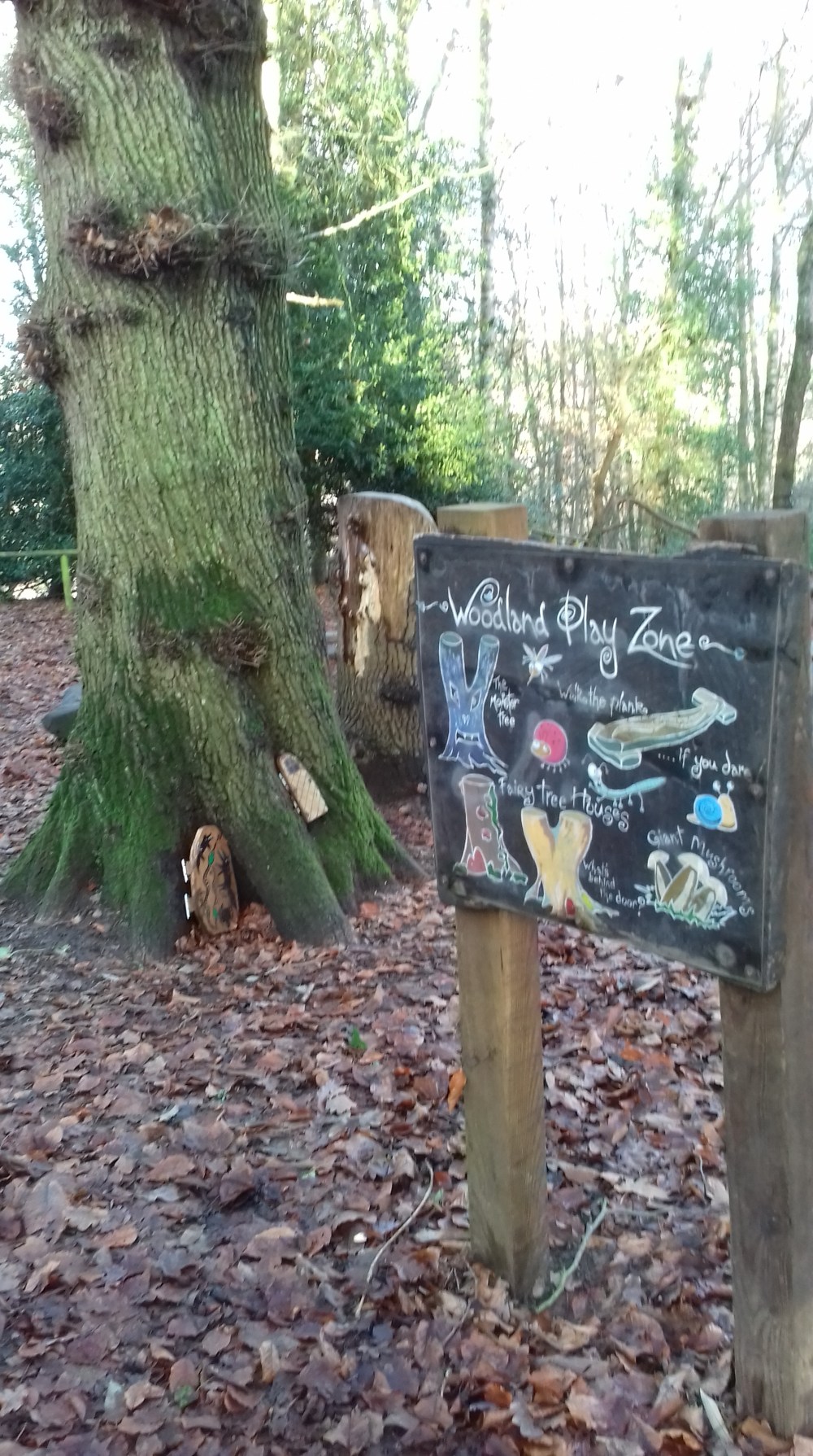 Woodland play area