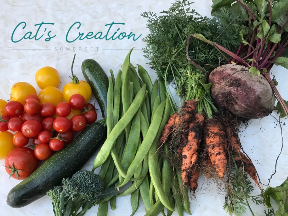 Tomatoes, carrots, courgettes, beans, peppers