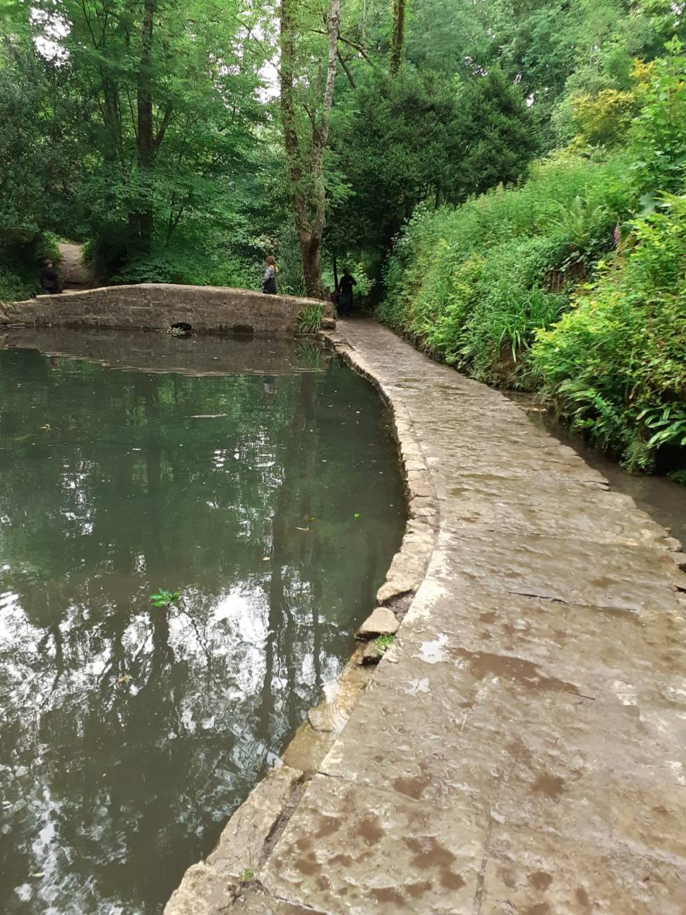 A pool of water in Ninesprings, 