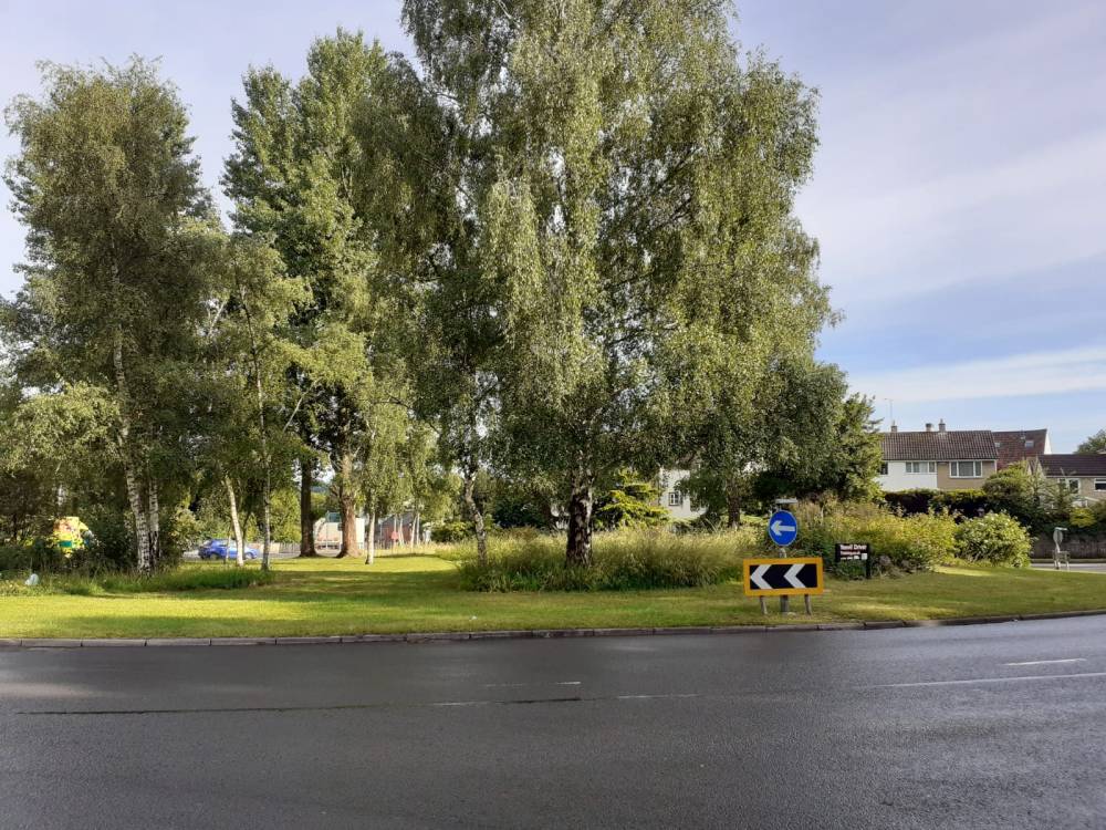 A roundabout with woodland trees in the middle
