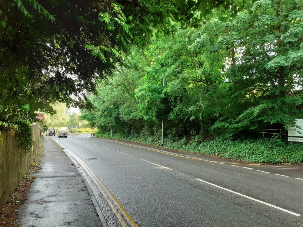 A road with a high grassy bank to the right