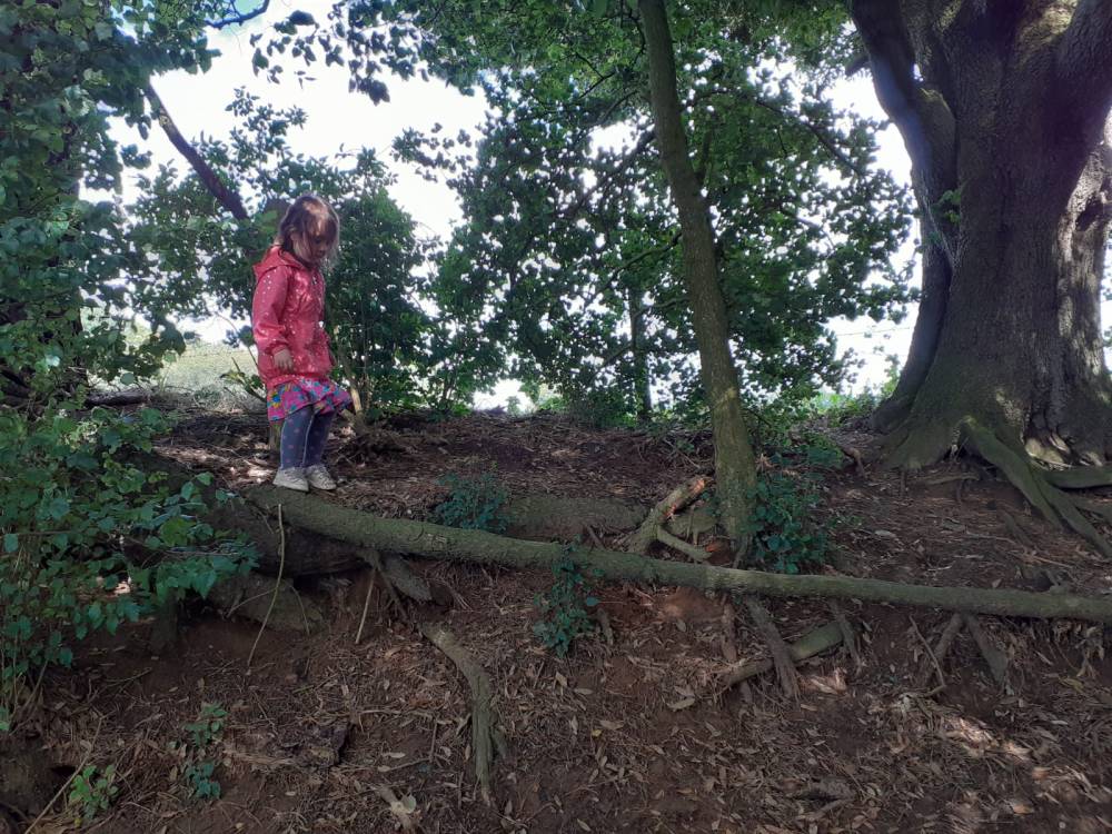 A little girl balancing along a 