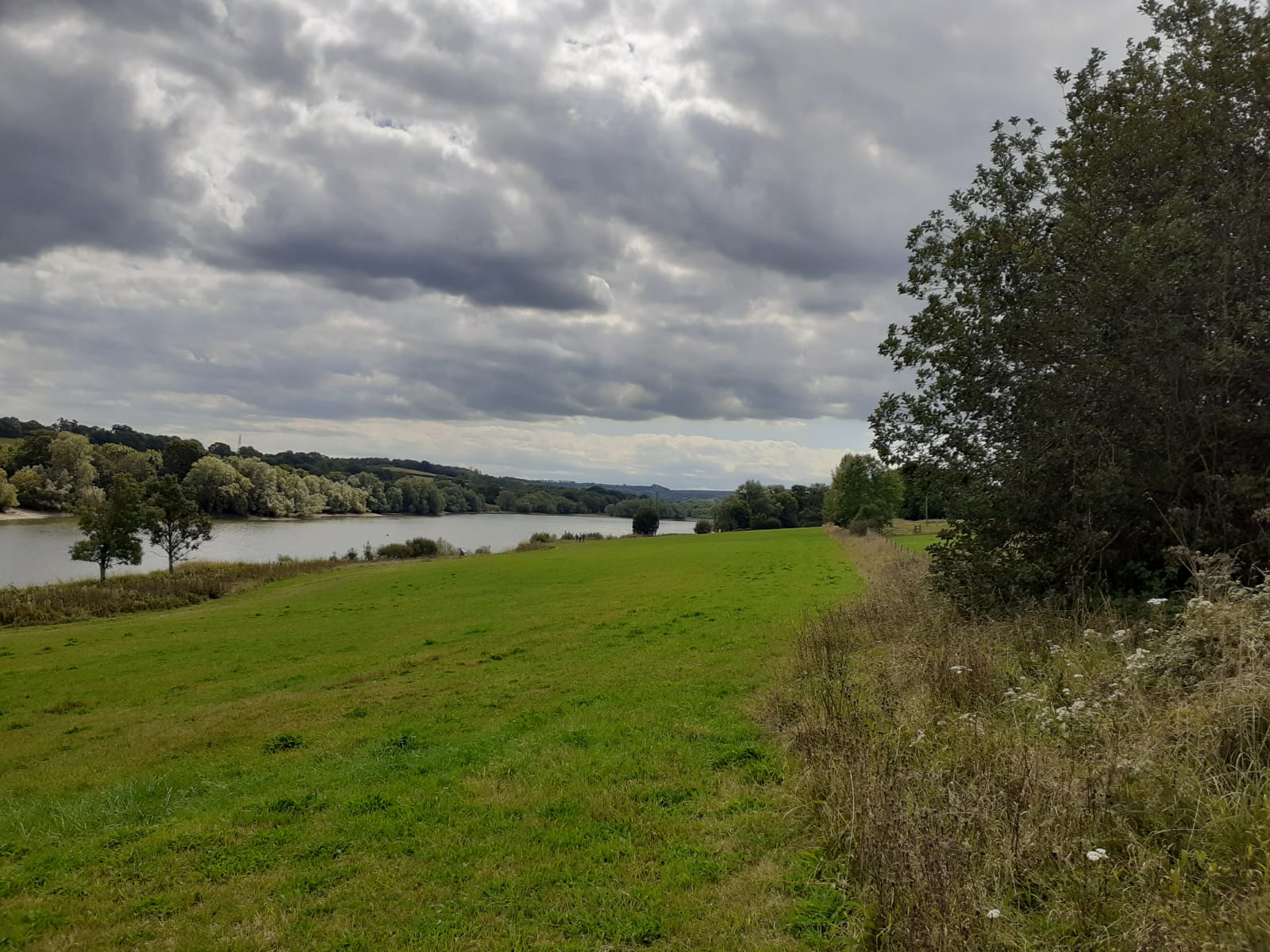 Green field with the silvery shores of the reservoir