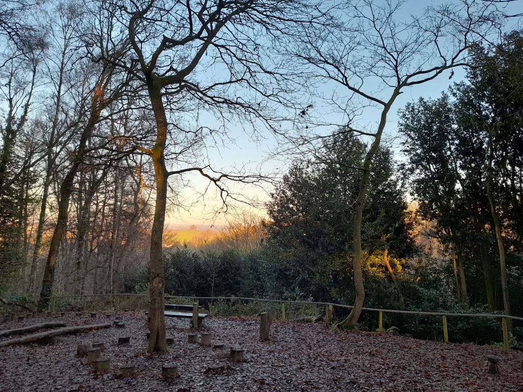 A view from a woodland play area to a hill with trees at the top