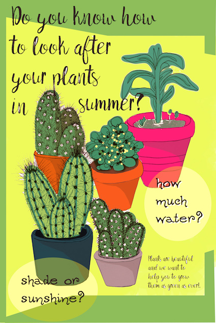 Five different cactus plants with vibrant colours