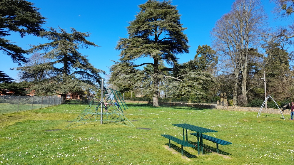 An avenue of ancient pine trees in the background with a grassy playpark with a green bench and rope climbing frame