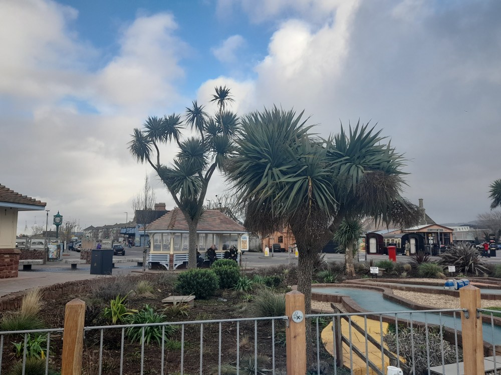 Palm trees and cafes... you're in Minehead!