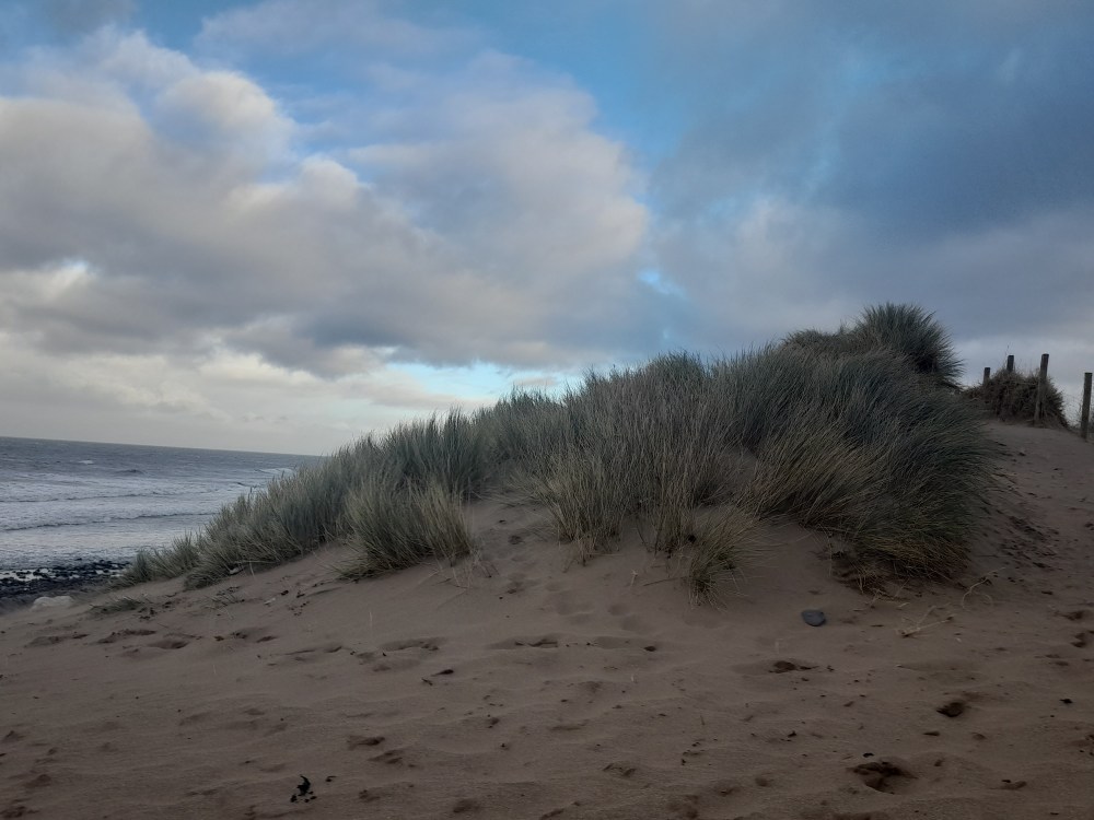 Coastal dune with spiky grass against cloudy and blue sky