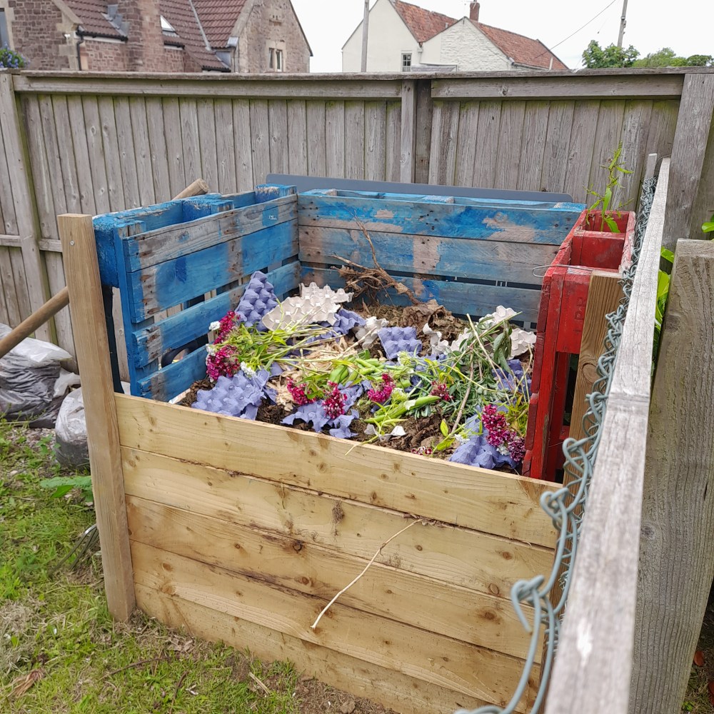 Colourful compost with egg boxes and sweet peas