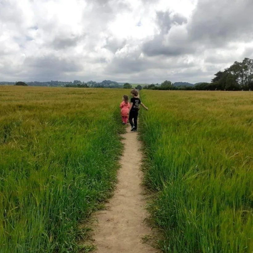 A hazy field of wheat with three children running through the centre path
