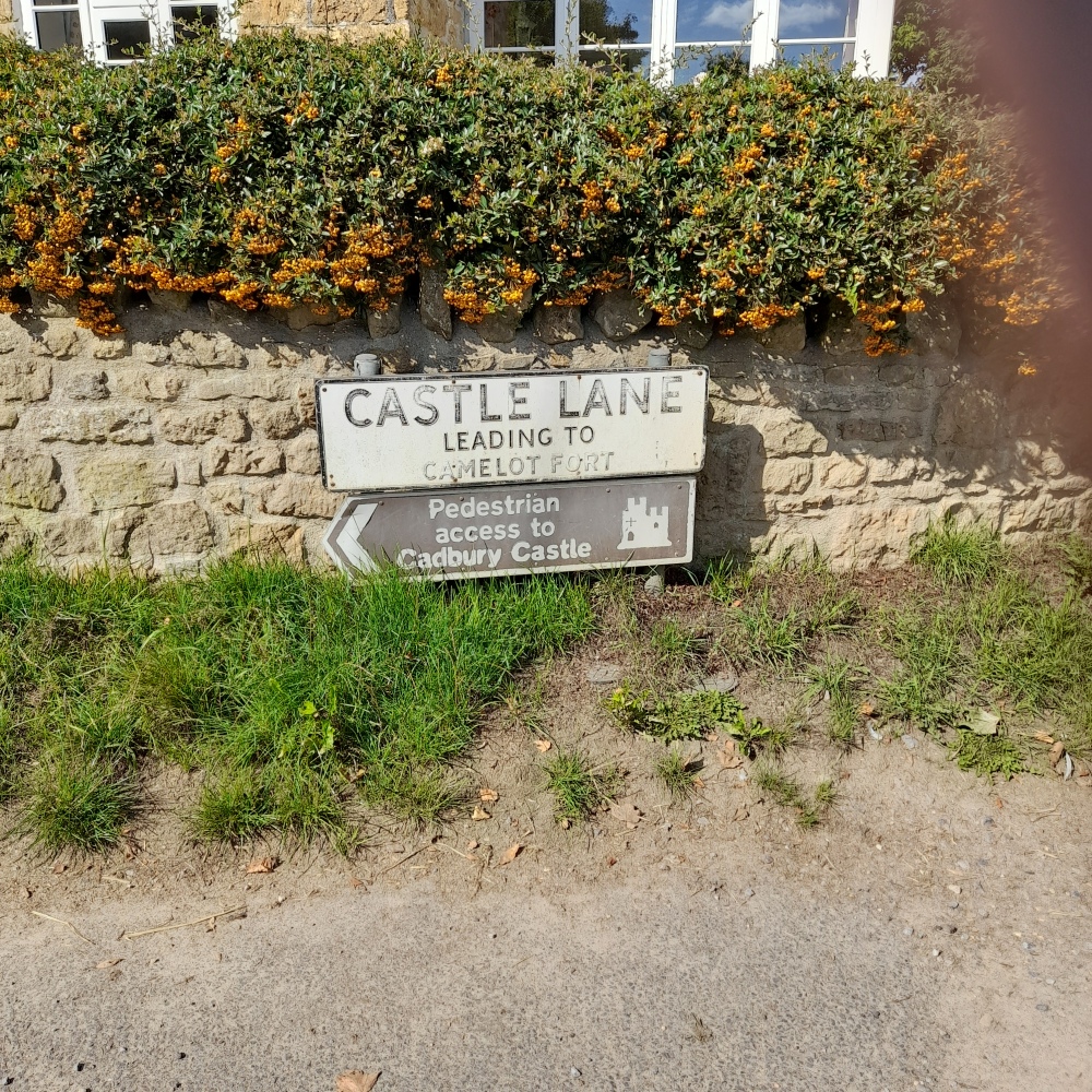 A stone wall with a sign reading Castle Lane