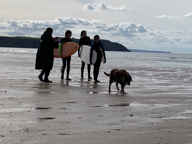Four figures in silhouette walking across a sandy bay with paddleboards and wetsuits